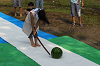 camp27 (547)_thumb.png